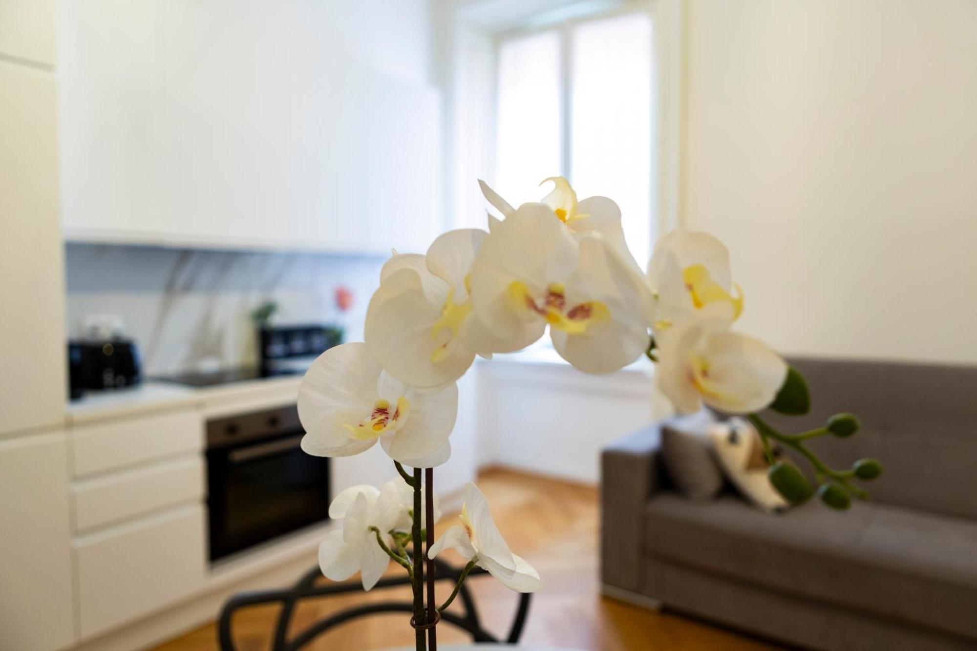 Macchi Delicious Apartment By 101Flats Милано Екстериор снимка